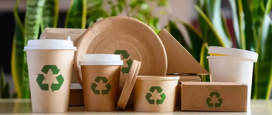 🌱 Green & Sustainable Franchises