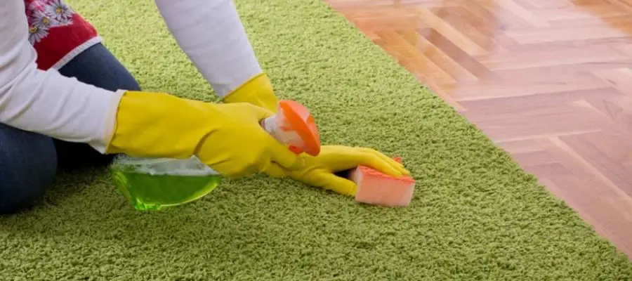 Leading Eco-Friendly Home & Cleaning Franchises in Canada