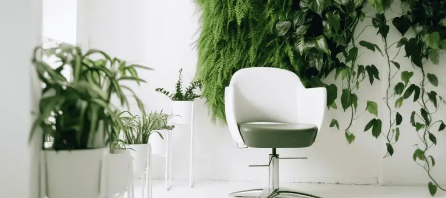 Most Trusted Clean Beauty & Eco-Lifestyle Franchises USA