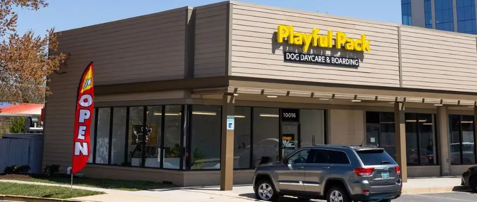 Playful Pack Dog Daycare & Boarding | Pet Franchise Canada