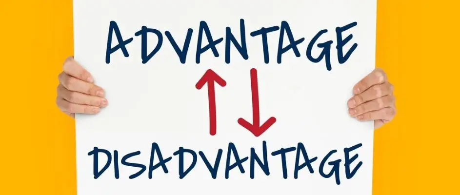 The Advantages and Disadvantages of Franchising