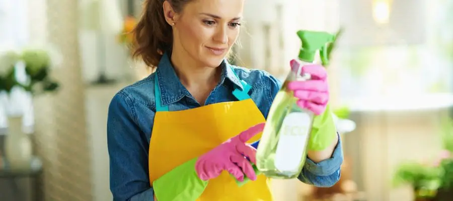 Top Eco-Friendly Home & Cleaning Franchises in the USA