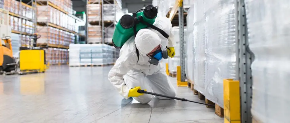 Top Pest Control Franchises in Canada | Critter Control & Pest Authority