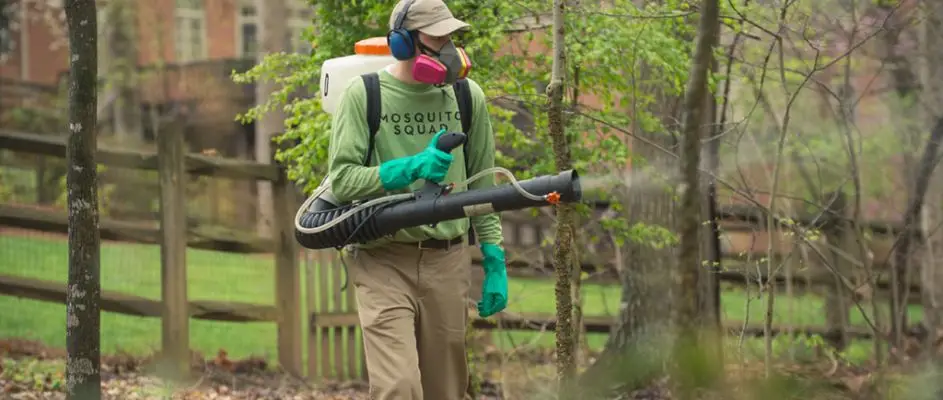 Top Pest Control & Mosquito Control Franchise Brands in the USA