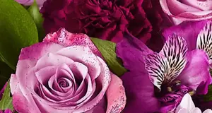 1-800-Flowers.com  2026