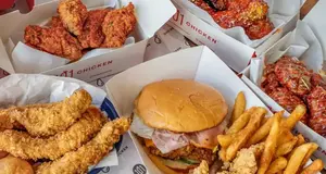 101 Chicken  – Cost & Investment 2026