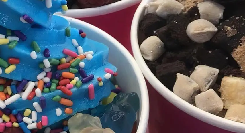 32 A Yogurt Franchise for Sale – Cost & Investment 2026