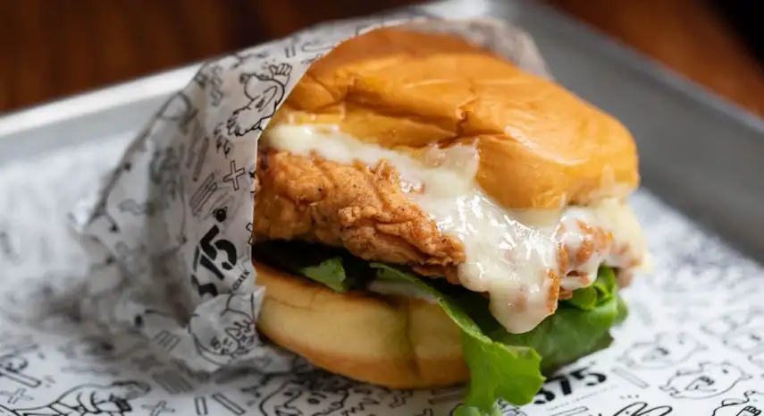 375 Chicken 'n Fries USA Franchise Opportunity image 2