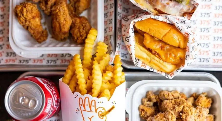 375 Chicken 'n Fries USA Franchise Opportunity image 3