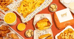375 Chicken 'n Fries Franchise Cost, Fees & Opportunity 2026