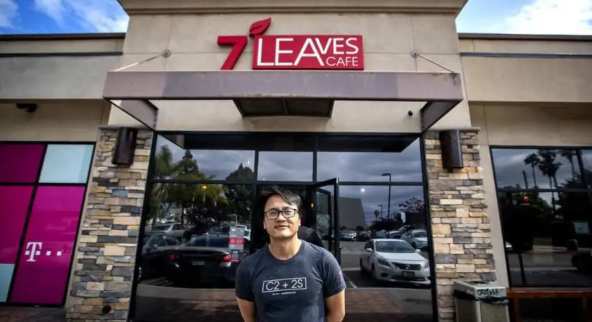 7 Leaves USA Franchise For Sale – Cost & Investment 2026