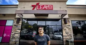 7 Leaves USA  – Cost & Investment 2026