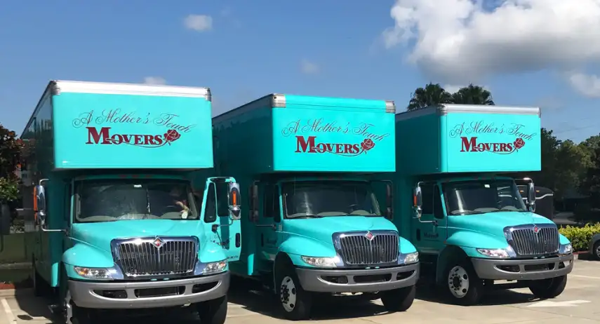 A Mother's Touch Movers Franchise Opportunity
