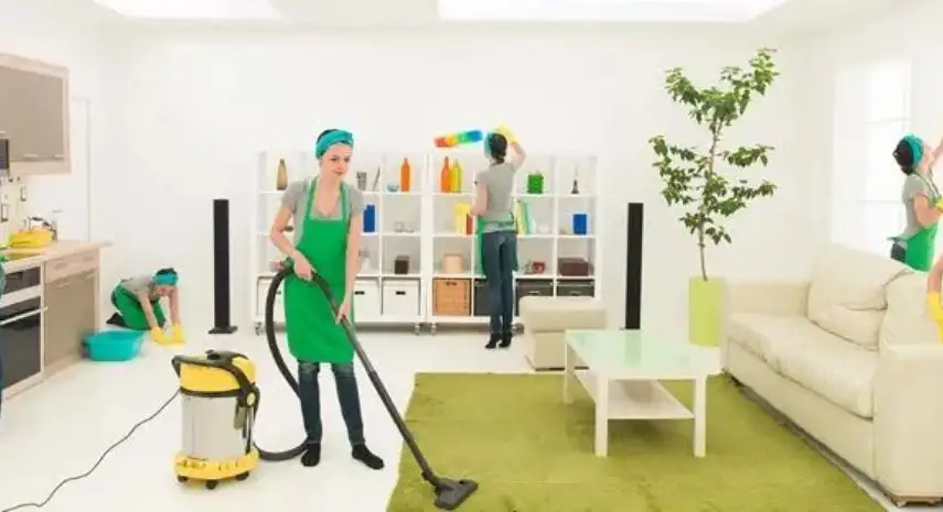 Special Touch Cleaning Service Franchise For Sale 2026