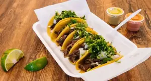 Acapela Modern Mex USA