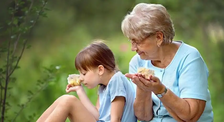 ACASA Senior Care USA Franchise Cost, Fees & Opportunity