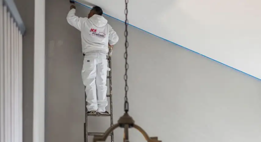 Ace Hardware Painting USA Services Franchise For Sale