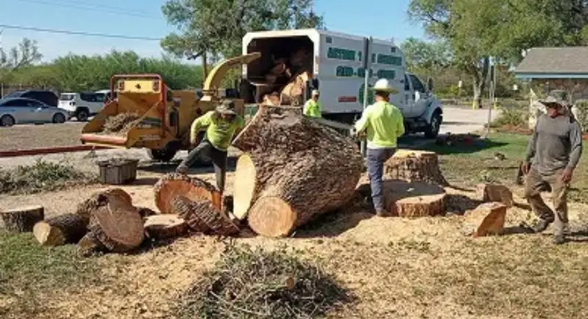 Action Tree Service USA Franchise Opportunity