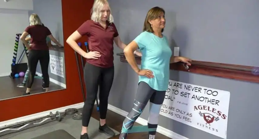 Ageless Fitness Franchise For Sale