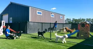 All Dogs Unleashed Franchise Cost, Fees & Opportunity