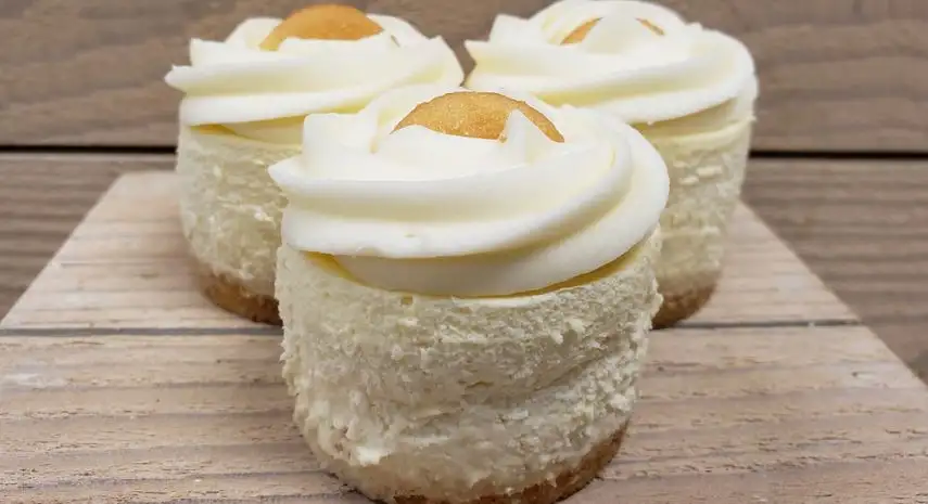 All The Crave Cheesecakes USA Franchise Opportunity image 4