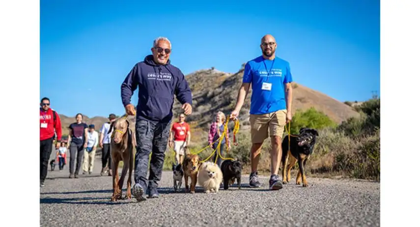 Always Faithful Dog Training Franchise Opportunity