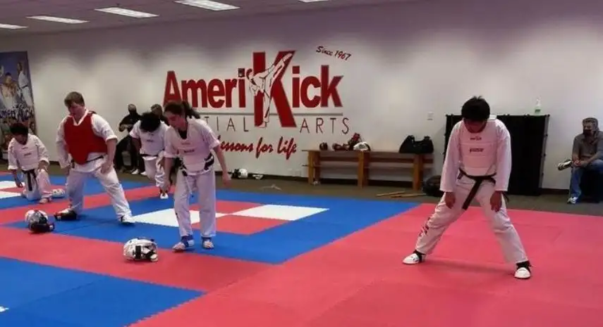 Amerikick USA Franchise For Sale