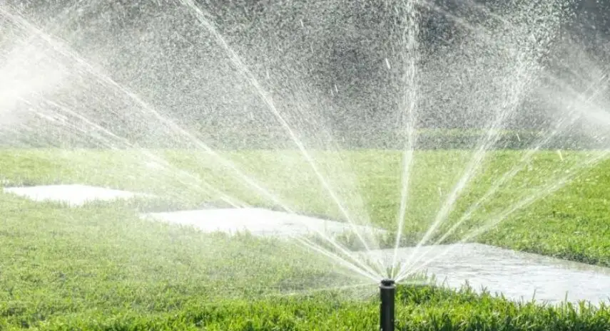 Andy's Sprinkler, Drainage & Lighting Franchise For Sale