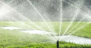 Andy's Sprinkler, Drainage & Lighting