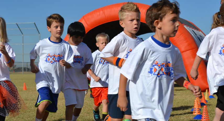 Apex Leadership Franchise For Sale image 3