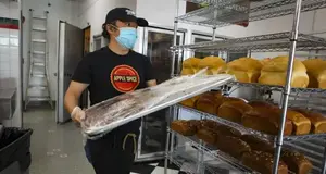 Apple Spice Box Lunch Delivery & Catering