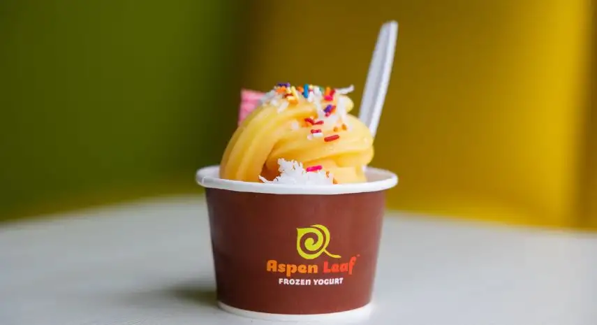 Aspen Leaf Frozen Yogurt USA