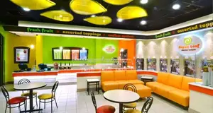 Aspen Leaf Frozen Yogurt Franchise Cost, Fees & Opportunity