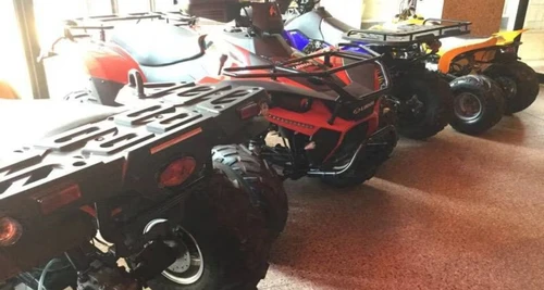 Avigna Motor Sports Franchise Cost, Fees, Opportunity