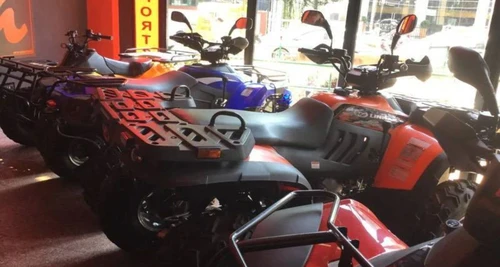 Avigna Motor Sports Franchise Cost, Fees, Opportunity