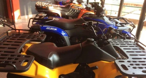 Avigna Motor Sports Franchise Cost, Fees, Opportunity