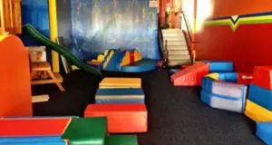 Baby Power Forever Kids Franchise Cost, Fees & Opportunity