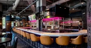 Bar Louie  – Cost & Investment