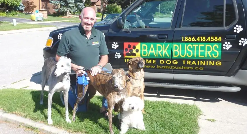 Bark Busters Franchise Opportunity USA image 3