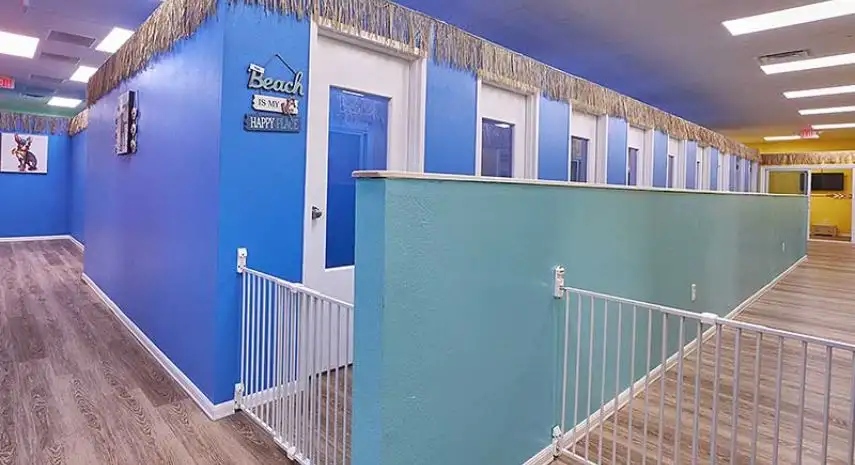 Bark Life USA Franchise For Sale image 3