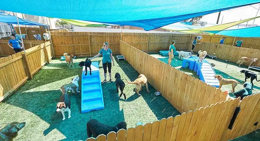 Bark Life USA Franchise For Sale image 4