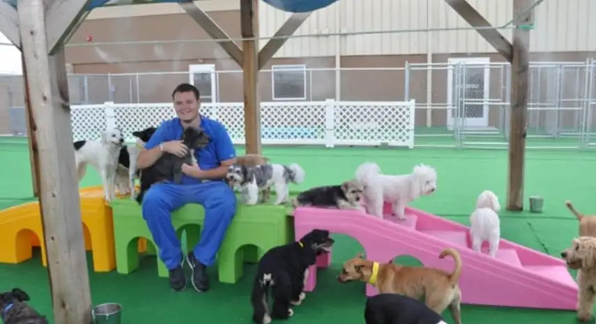 Barkefellers USA Franchise Opportunity image 3