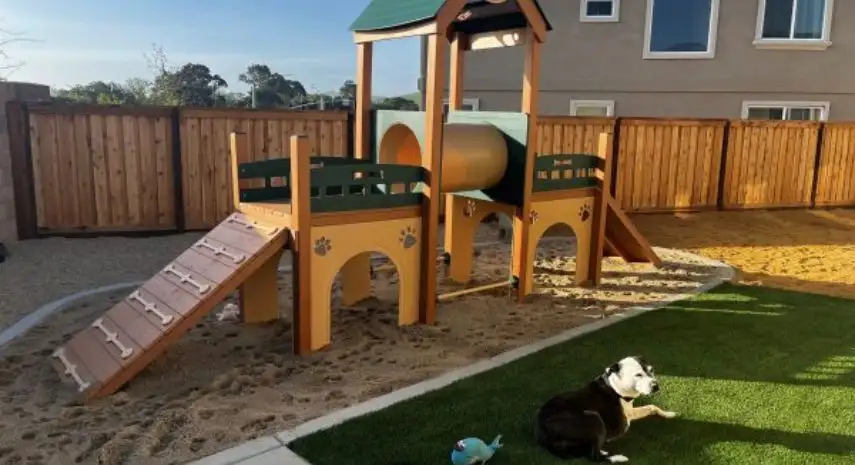 Barkefellers USA Franchise Opportunity image 4