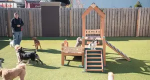 Barkefellers Franchise Cost, Fees & Opportunity