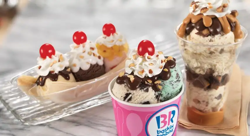 Baskin-Robbins Franchise – USA Overview