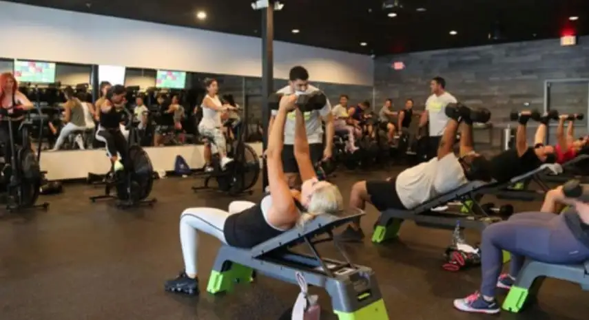 Belfort Fitness Lifestyle USA Franchise For Sale