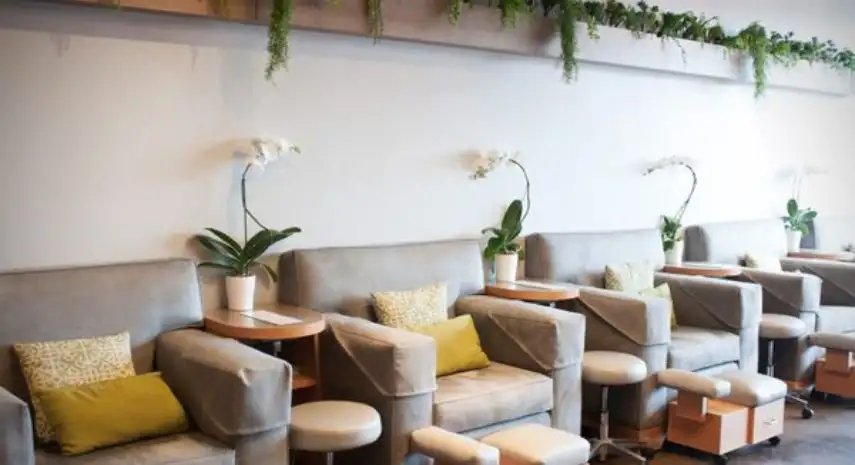 Bellacures Salon Franchise Opportunity in the USA image 2