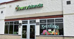 Berry Blendz Franchise Cost, Fees & Opportunities