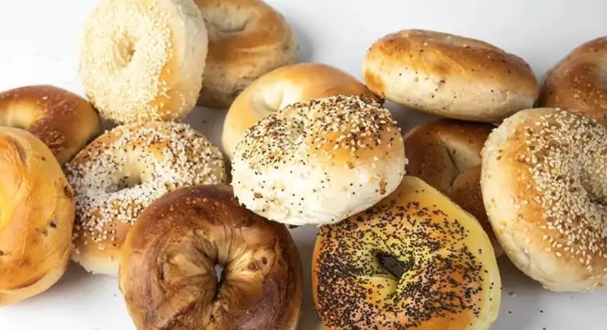 Best Bagels in Town USA Franchise Opportunity