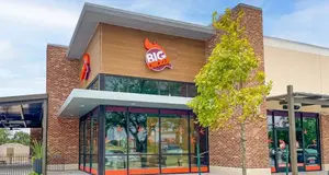 Big Chicken  – Cost & Investment